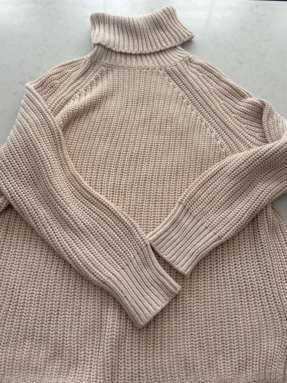 Turtleneck Chunky Knit Sweater in Light Beige, Evereve